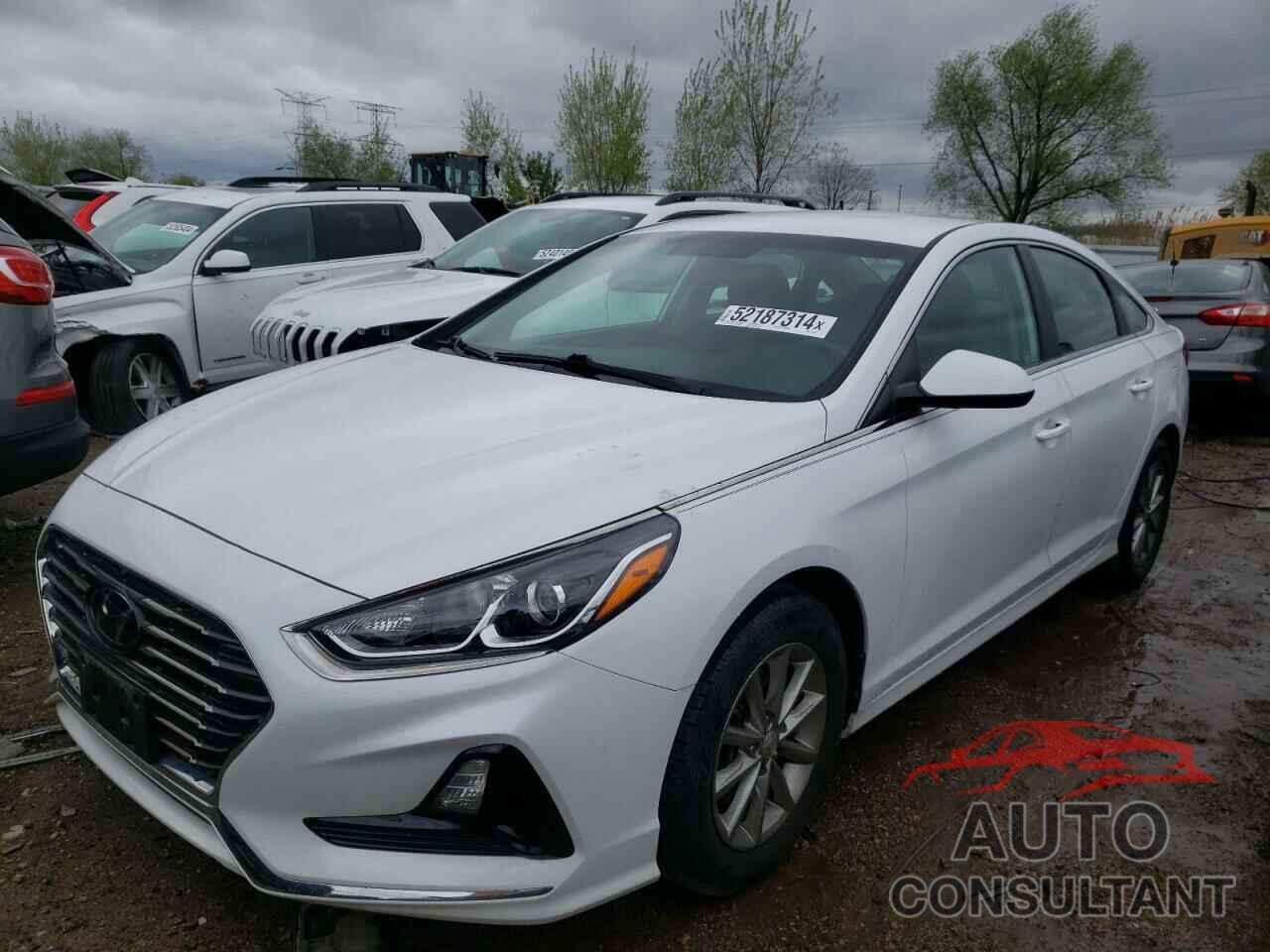 HYUNDAI SONATA 2019 - 5NPE24AF6KH737736