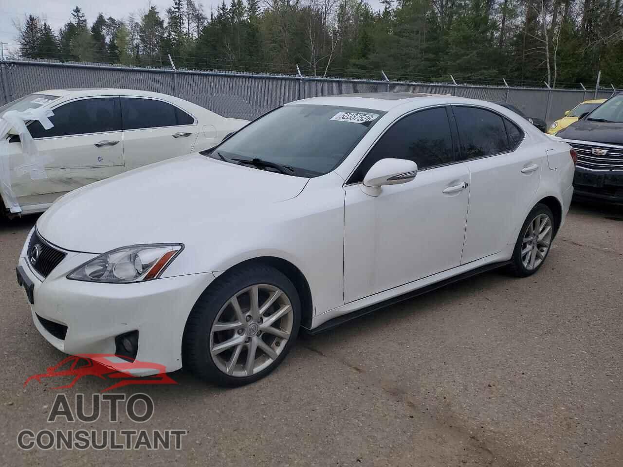 LEXUS IS 2011 - JTHCF5C28B5045858
