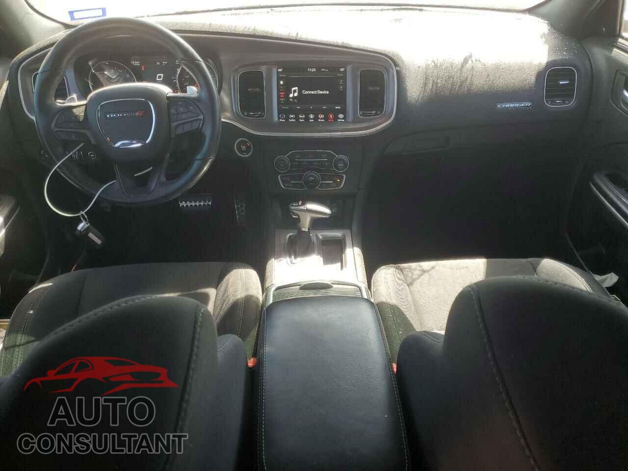 DODGE CHARGER 2019 - 2C3CDXCTXKH584457