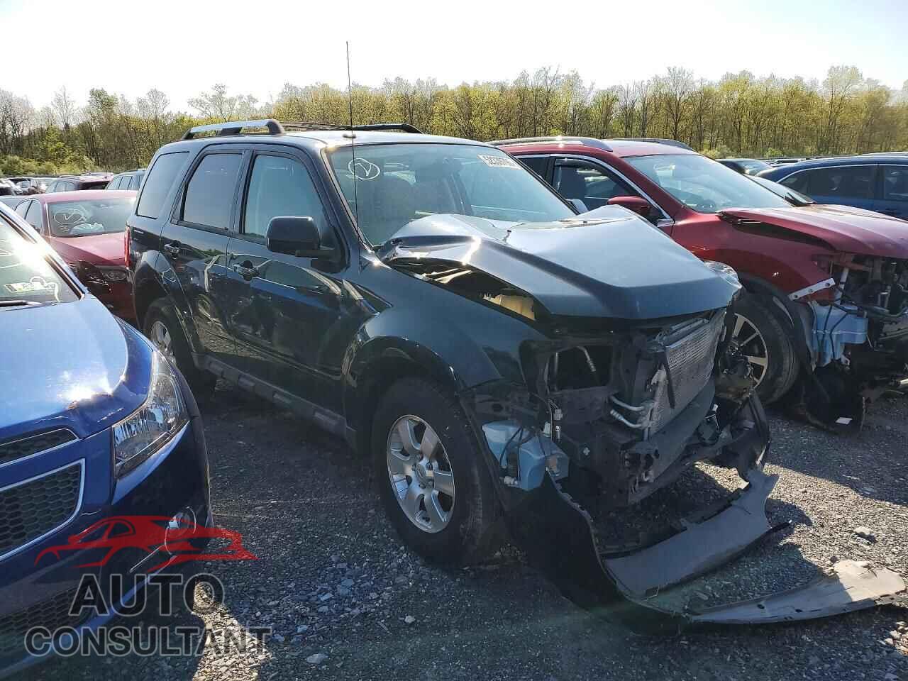 FORD ESCAPE 2011 - 1FMCU0EG9BKC66935