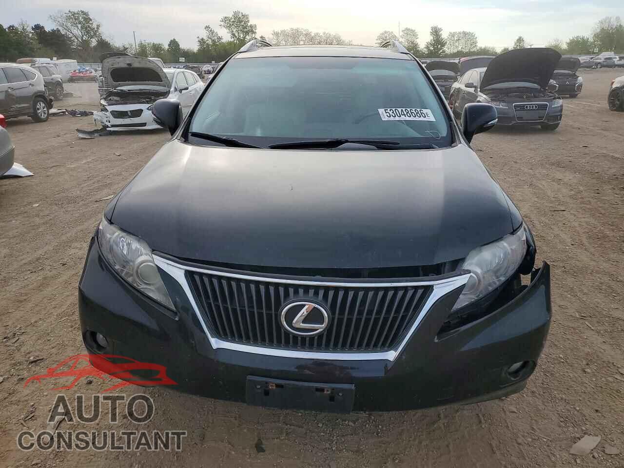 LEXUS RX350 2010 - 2T2BK1BA6AC056607