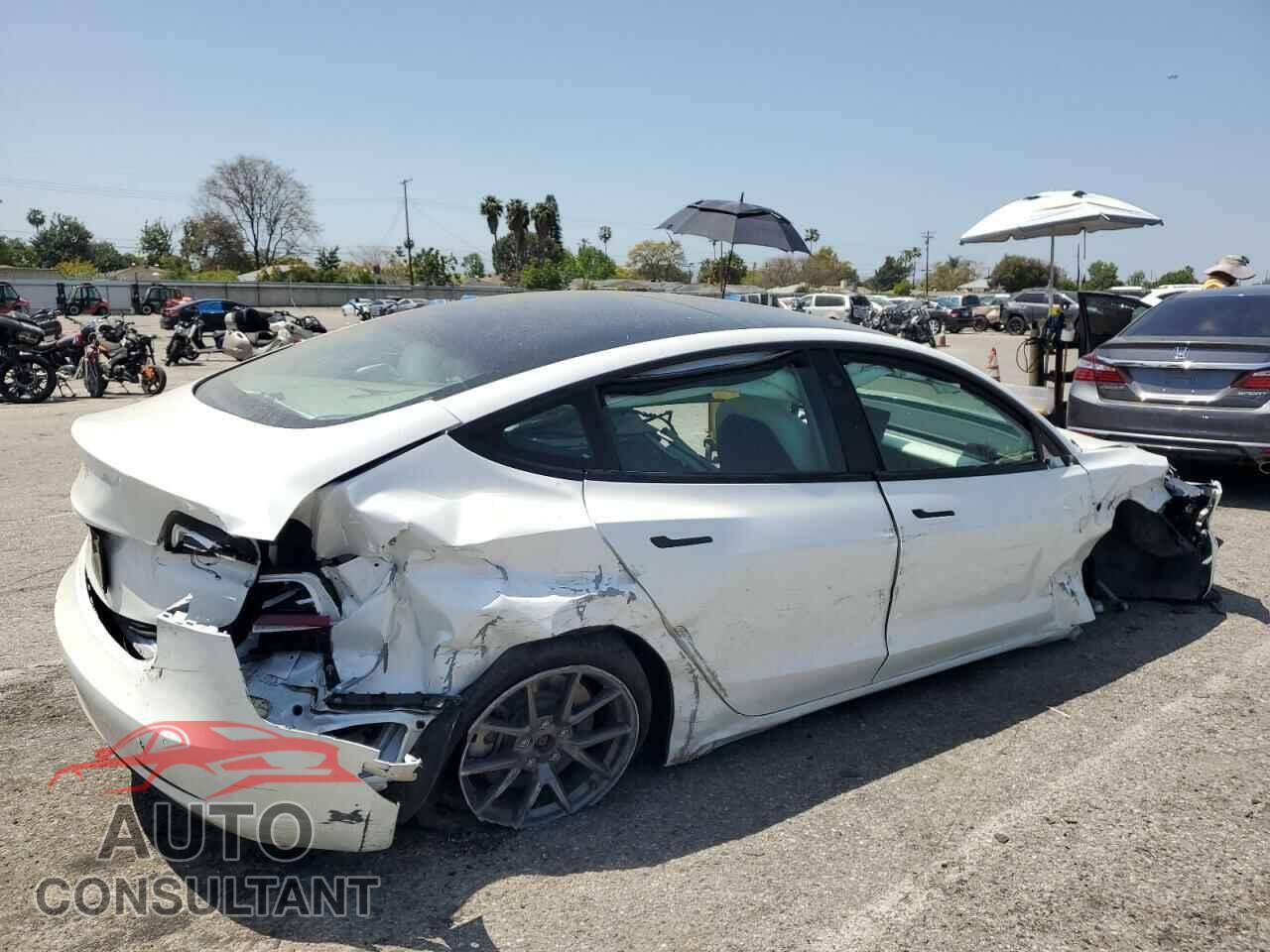 TESLA MODEL 3 2021 - 5YJ3E1EA3MF031305