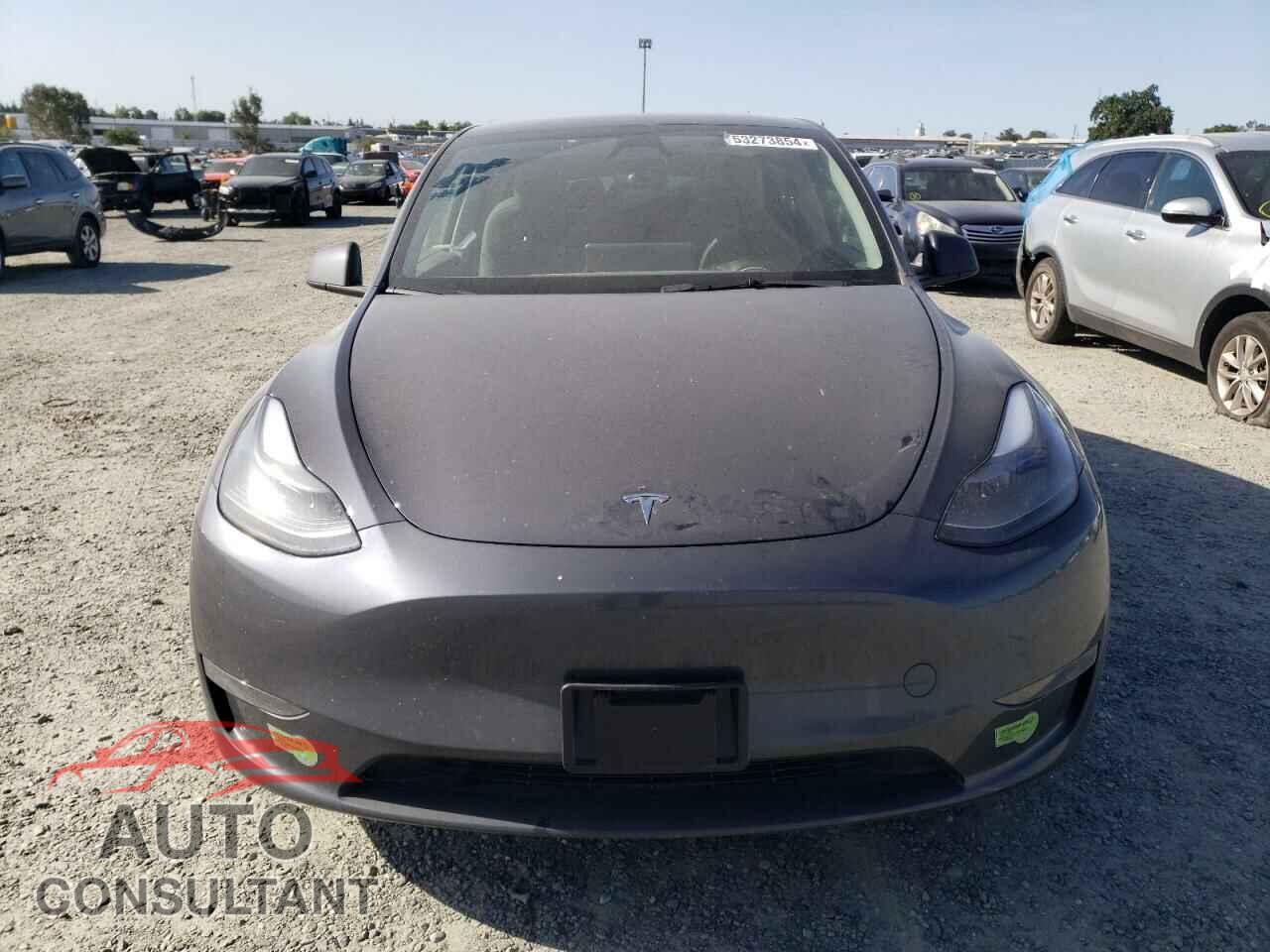 TESLA MODEL Y 2023 - 7SAYGDEE1PF814716