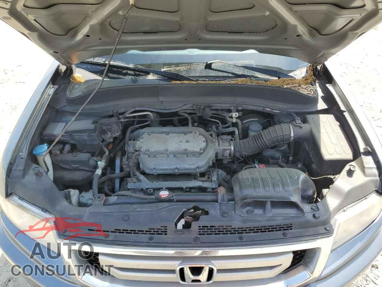 HONDA RIDGELINE 2009 - 5FPYK16549B100193