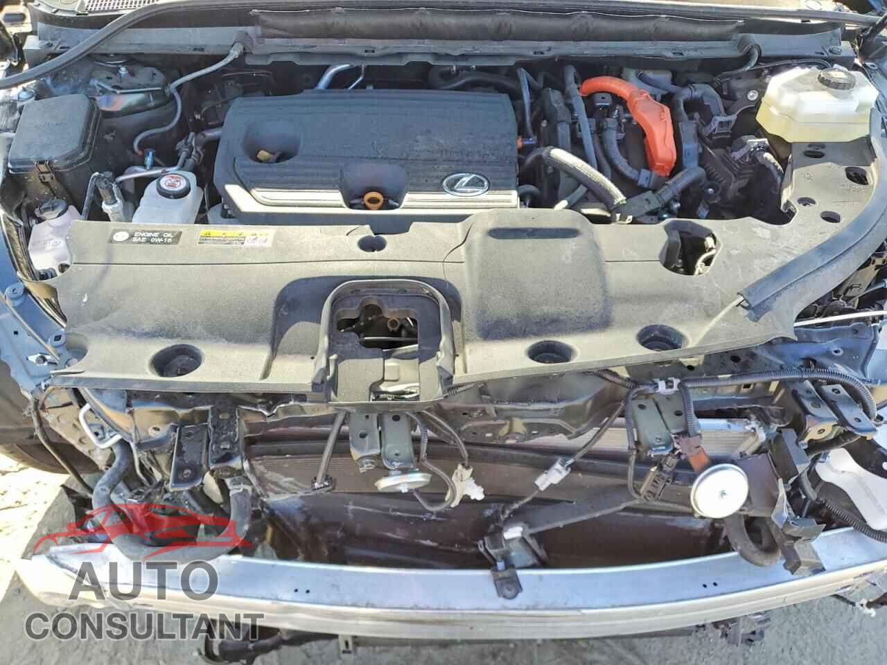 LEXUS UNKNOWN 2025 - 2T2BBMCA9SC091966