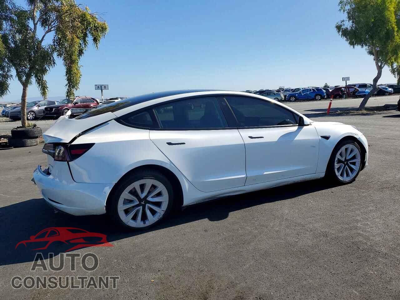 TESLA MODEL 3 2021 - 5YJ3E1EB3MF002511