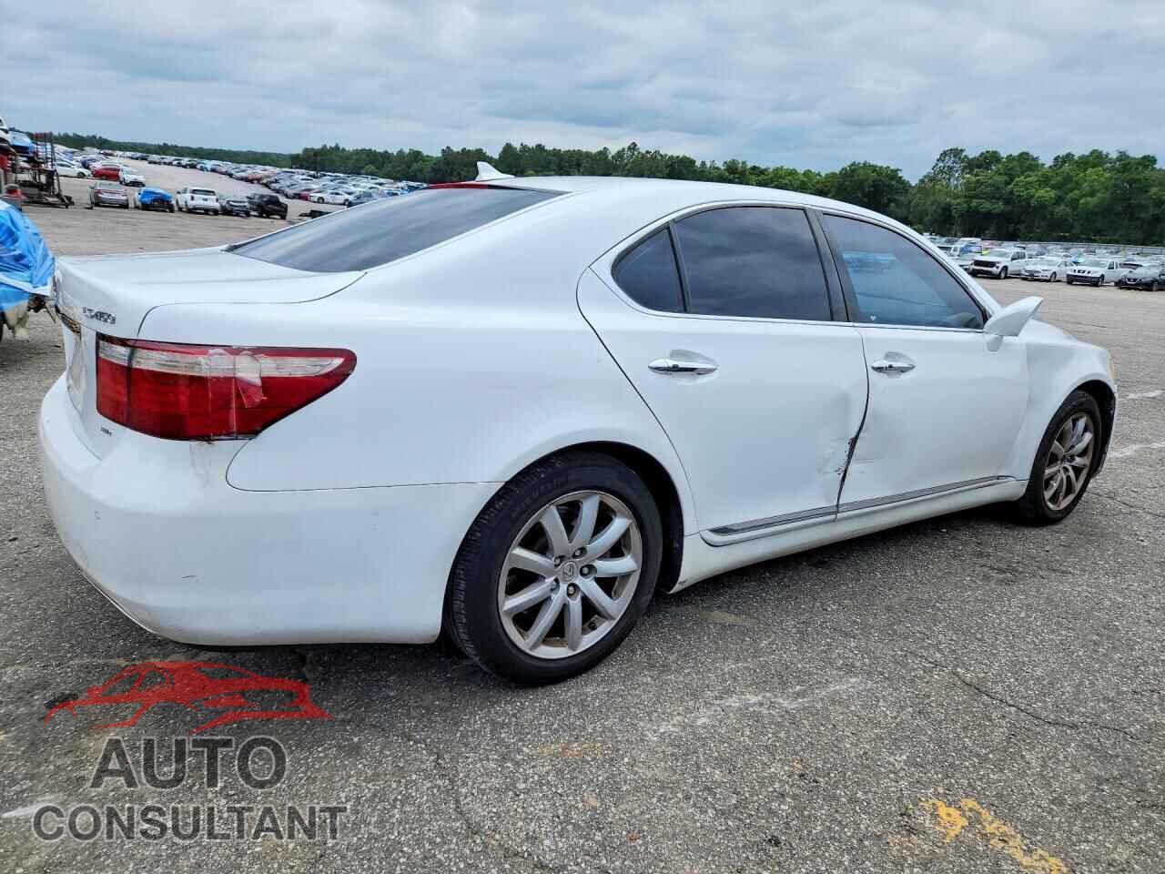 LEXUS LS460 2009 - JTHCL46F095002966