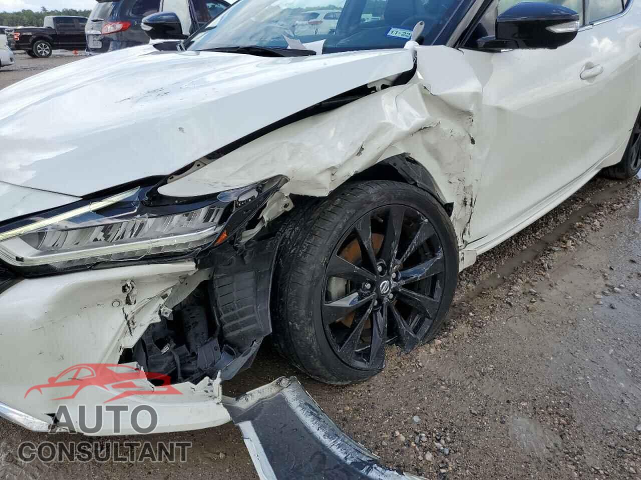 NISSAN MAXIMA 2019 - 1N4AA6AV6KC375736