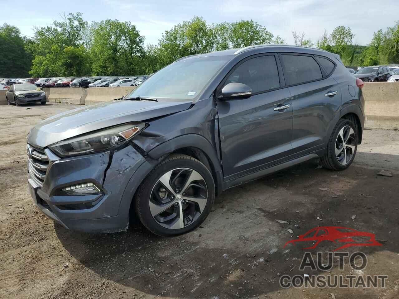 HYUNDAI TUCSON 2016 - KM8J33A23GU069728