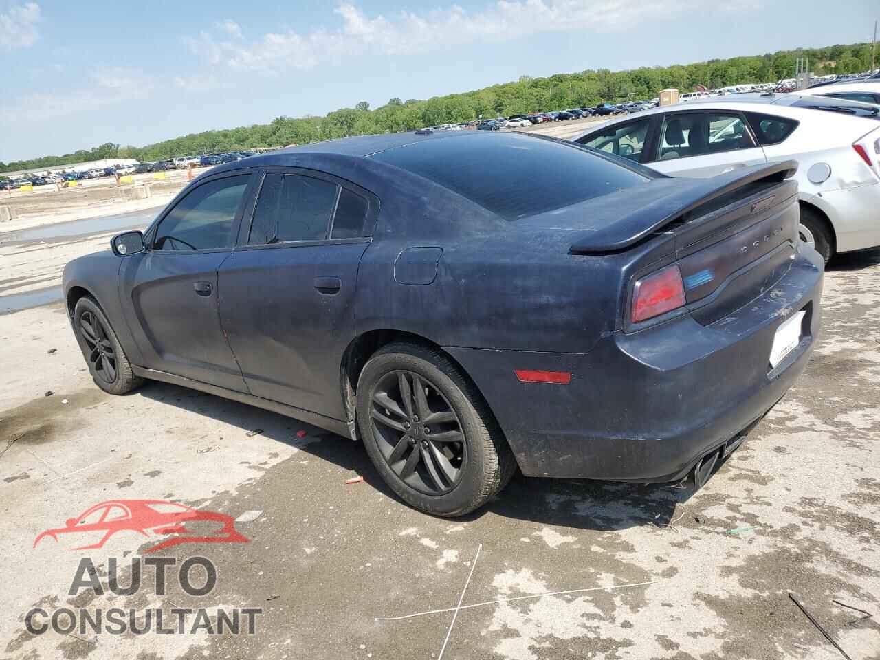 DODGE CHARGER 2014 - 2C3CDXDTXEH186975