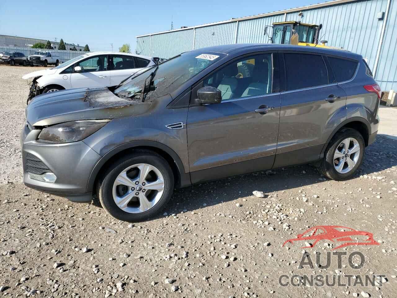 FORD ESCAPE 2014 - 1FMCU0GX8EUC66463