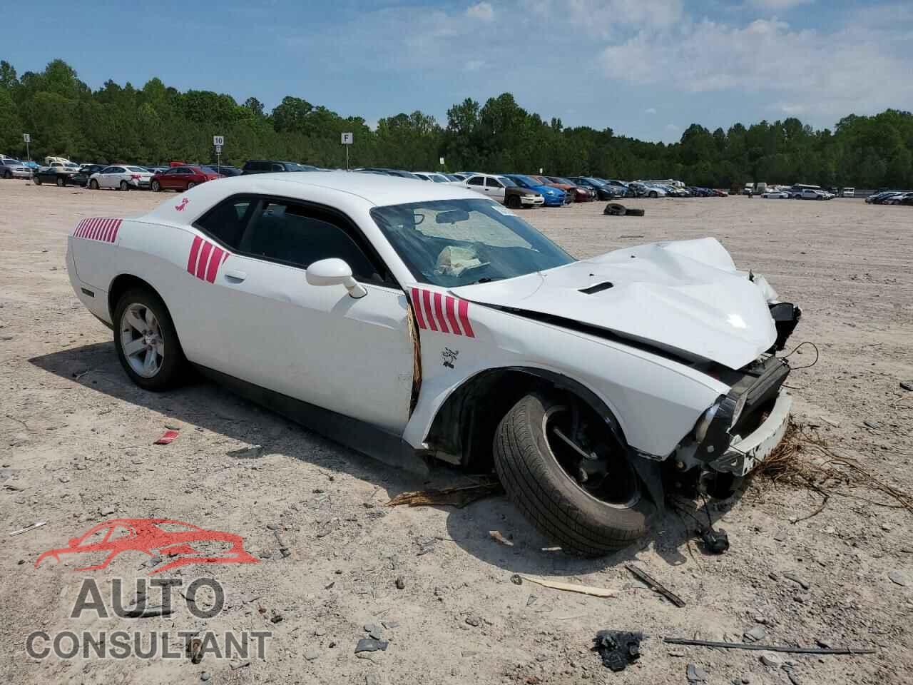 DODGE CHALLENGER 2013 - 2C3CDYAG2DH628000