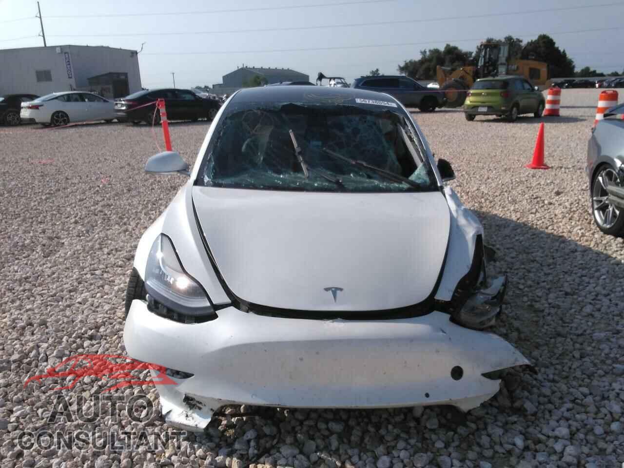 TESLA MODEL 3 2020 - 5YJ3E1EAXLF644813