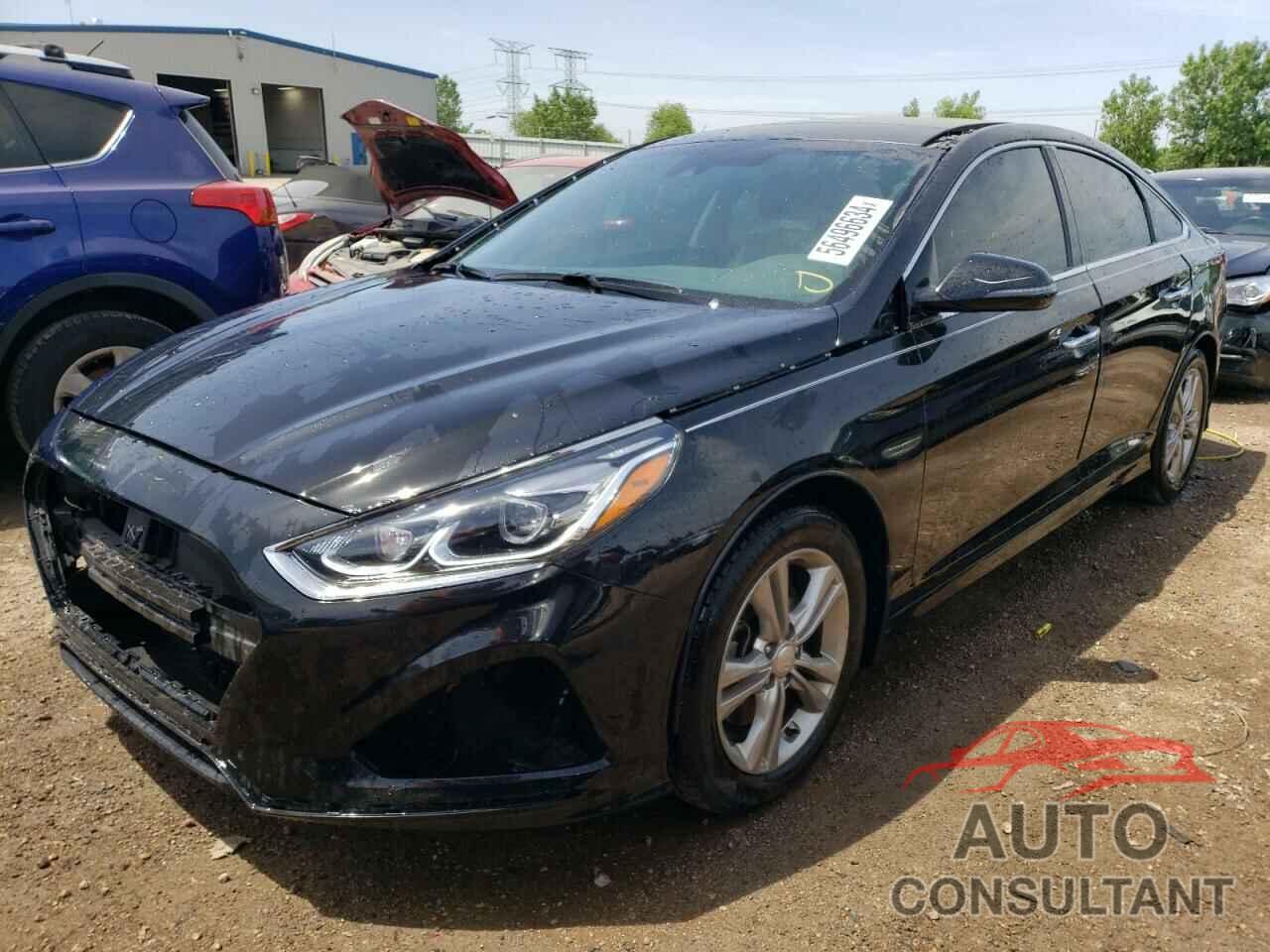 HYUNDAI SONATA 2019 - 5NPE34AF9KH805623