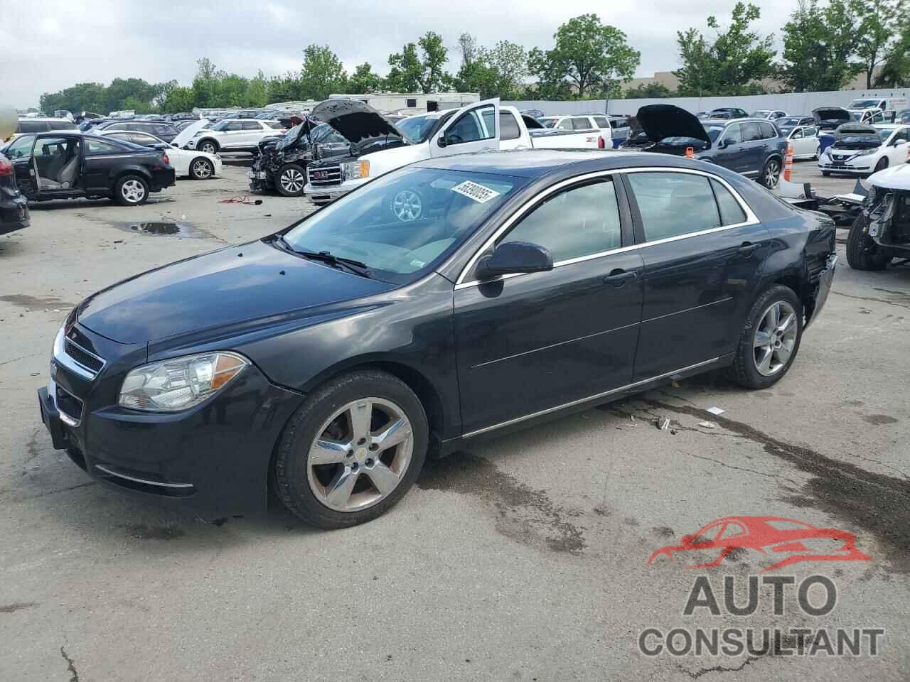 CHEVROLET MALIBU 2011 - 1G1ZC5E15BF399297