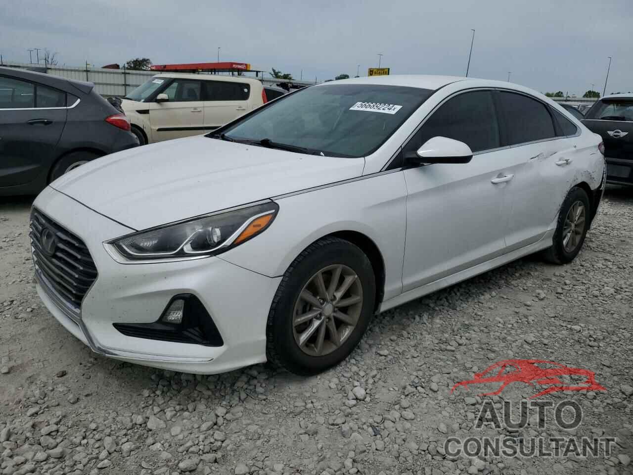 HYUNDAI SONATA 2018 - 5NPE24AF5JH709084