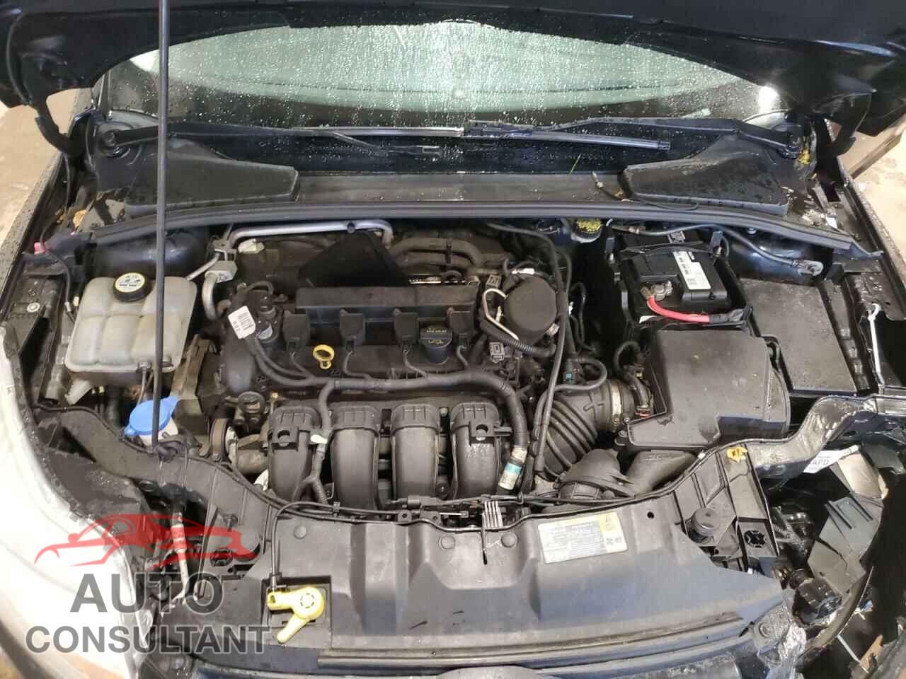 FORD FOCUS 2012 - 1FAHP3K24CL407570