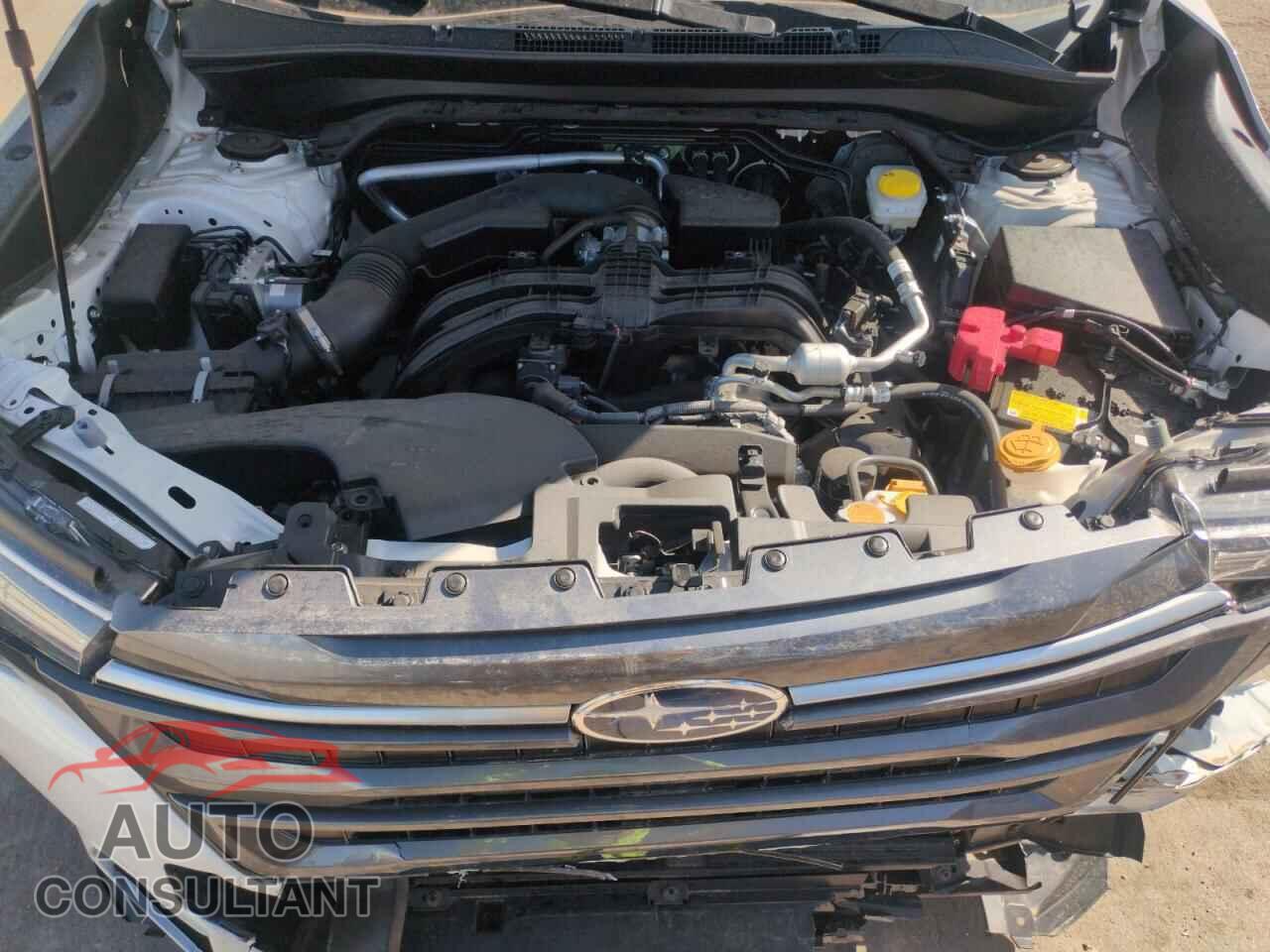 SUBARU FORESTER 2025 - JF2SLDDC3SH488880
