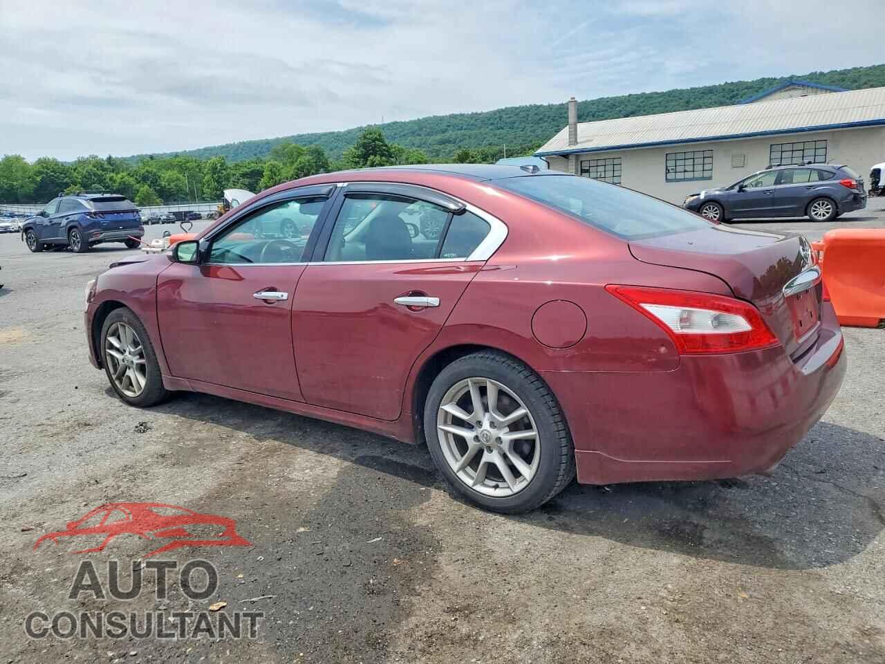NISSAN MAXIMA 2009 - 1N4AA51E19C825166