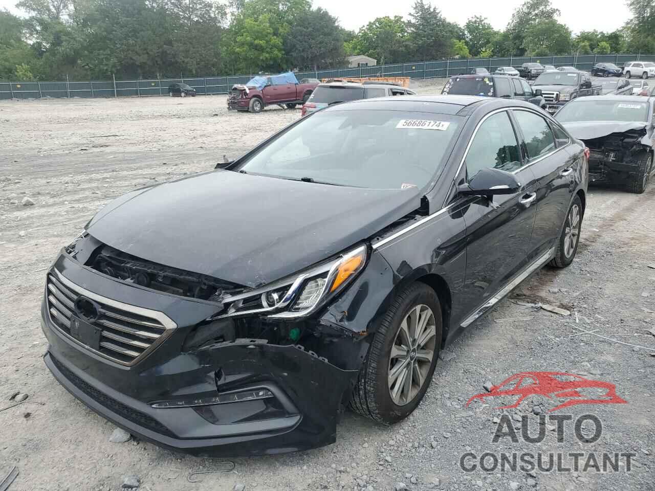 HYUNDAI SONATA 2016 - 5NPE34AF9GH356239