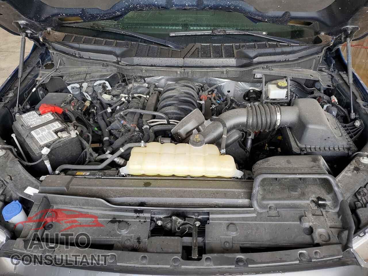 FORD F150 2023 - 1FTFW1E50PKG09297