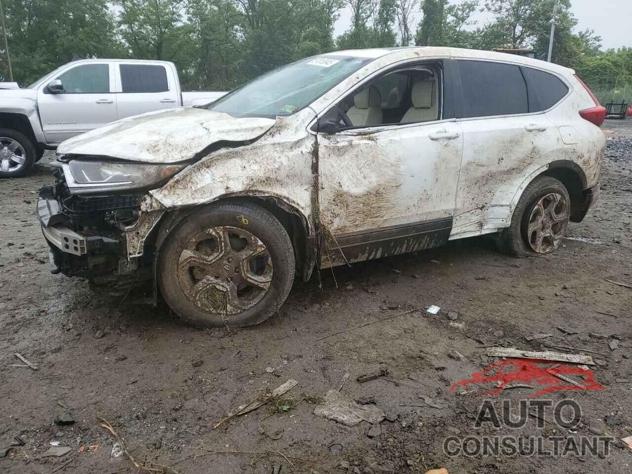 HONDA CRV 2019 - 2HKRW2H59KH613032