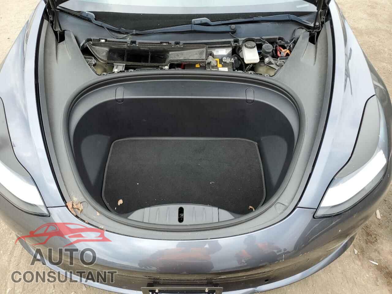 TESLA MODEL 3 2019 - 5YJ3E1EB8KF192674