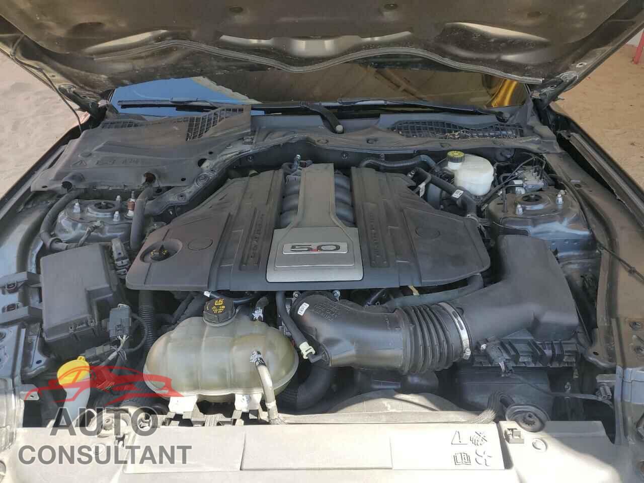 FORD MUSTANG 2019 - 1FA6P8CF8K5182790