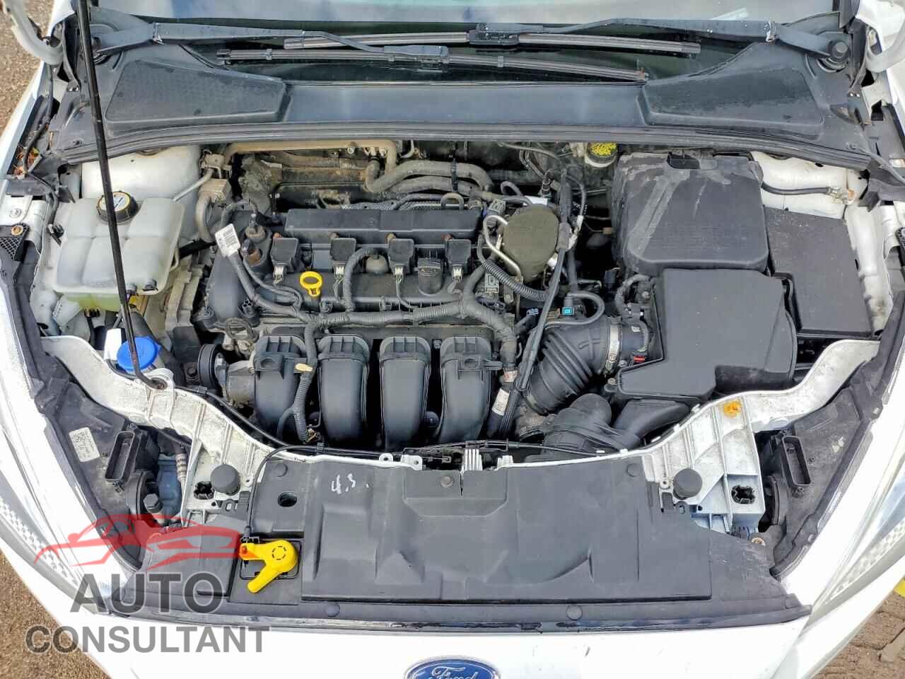 FORD FOCUS 2016 - 1FADP3F29GL316485
