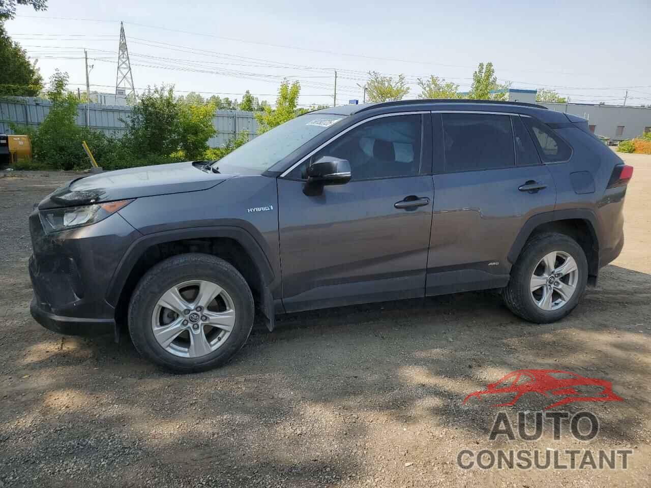 TOYOTA RAV4 2019 - 2T3BWRFV4KW008146