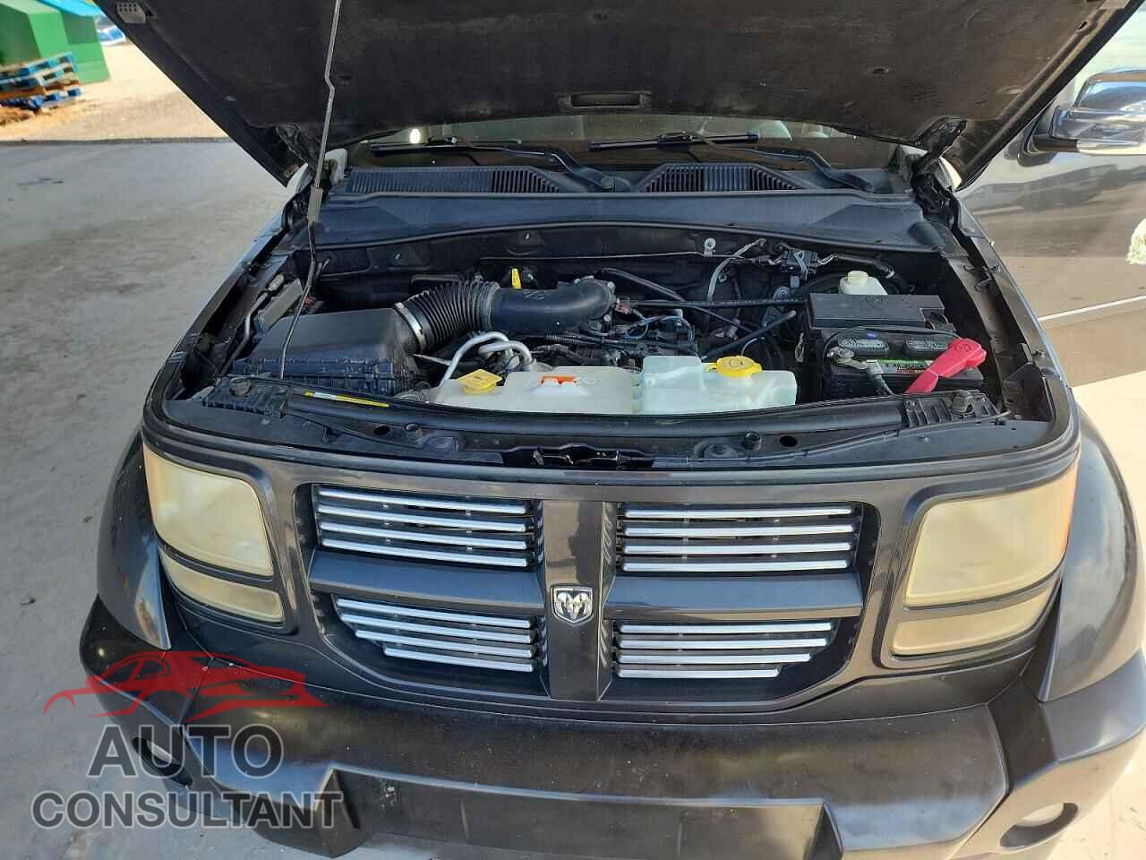 DODGE NITRO 2011 - 1D4PU4GK4BW590627