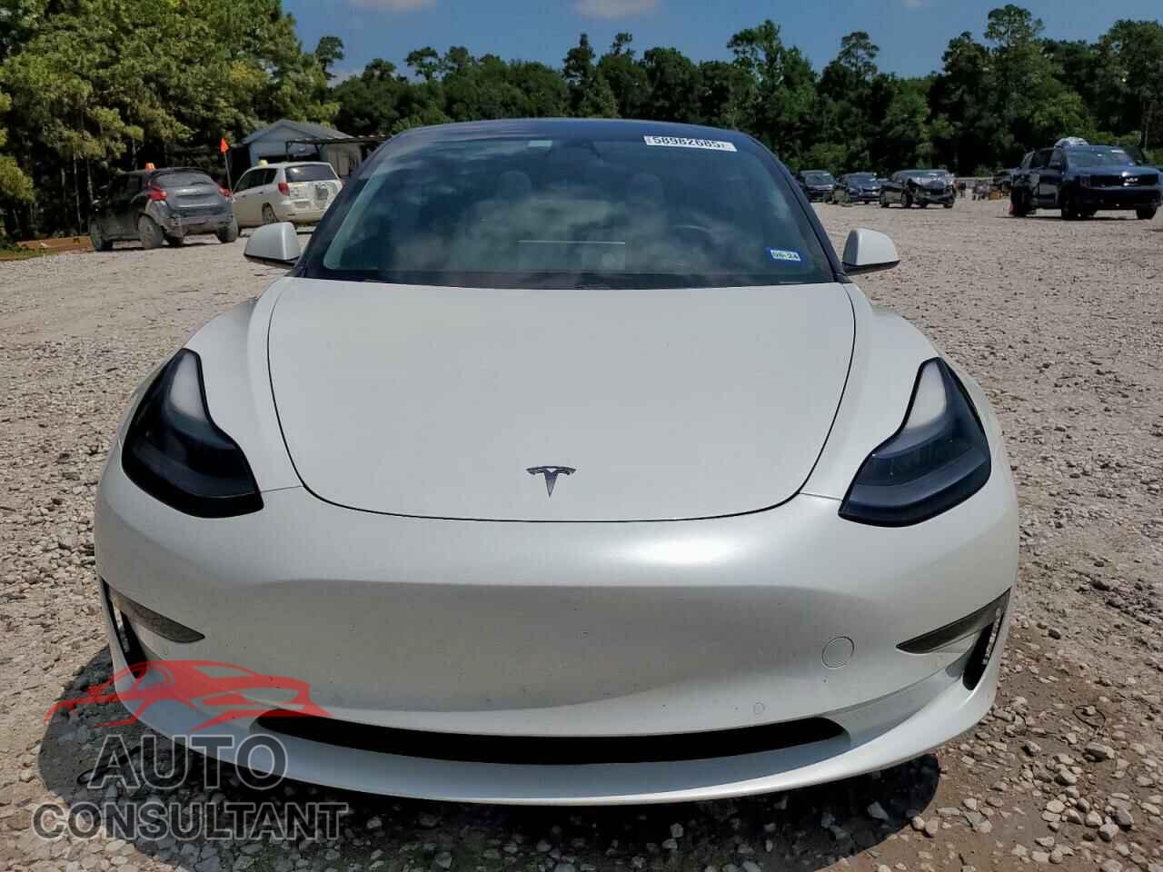 TESLA MODEL 3 2021 - 5YJ3E1EA9MF989879