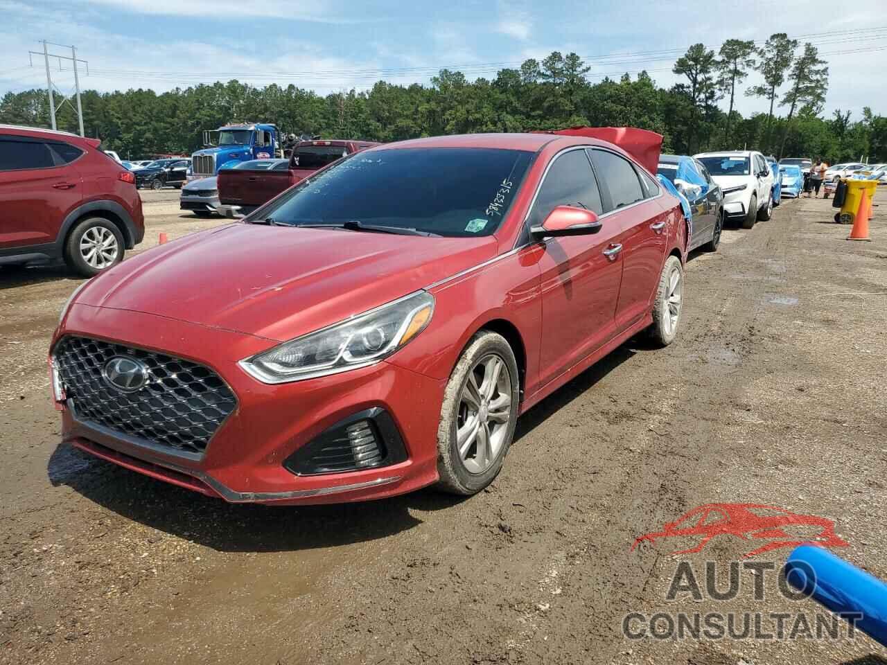 HYUNDAI SONATA 2019 - 5NPE34AF4KH789864