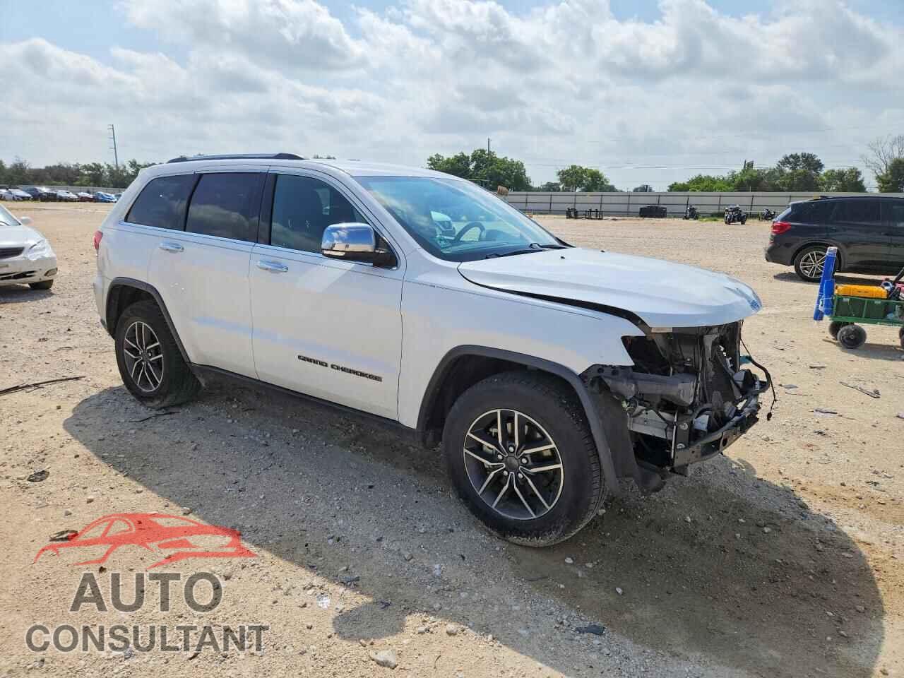 JEEP CHEROKEE 2019 - 1C4RJEBG1KC858011