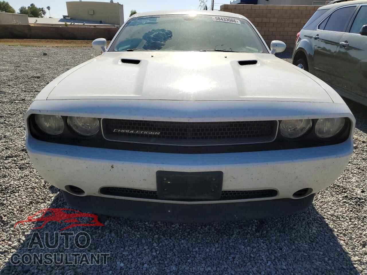 DODGE CHALLENGER 2014 - 2C3CDYAG2EH290017