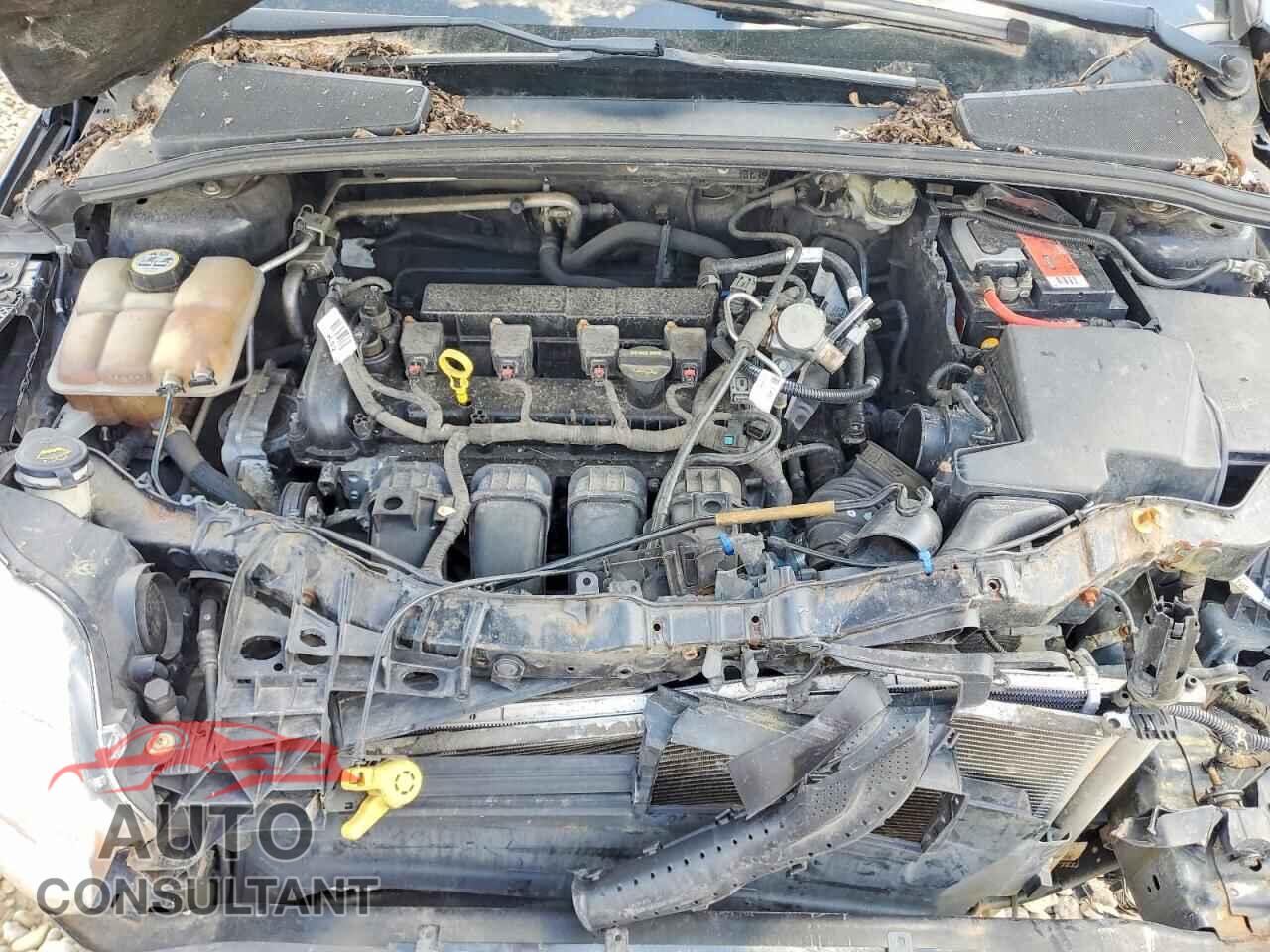 FORD FOCUS 2013 - 1FADP3F25DL288972