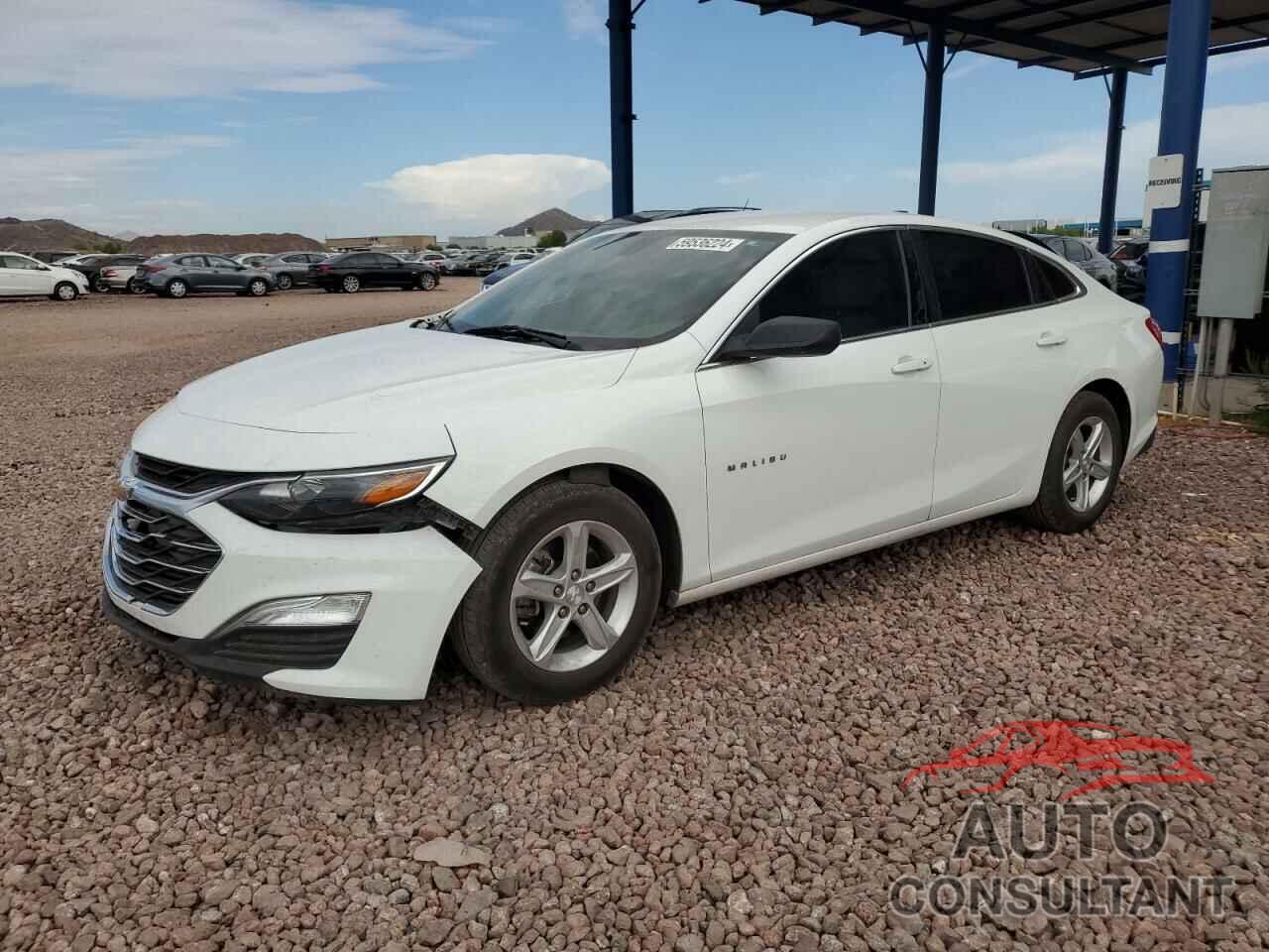 CHEVROLET MALIBU 2019 - 1G1ZB5ST8KF226527