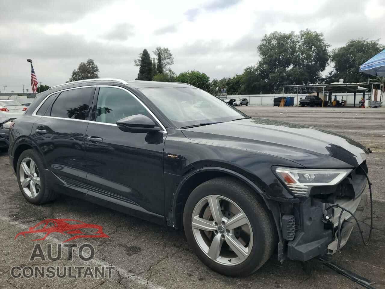 AUDI E-TRON 2019 - WA1LABGE4KB021801