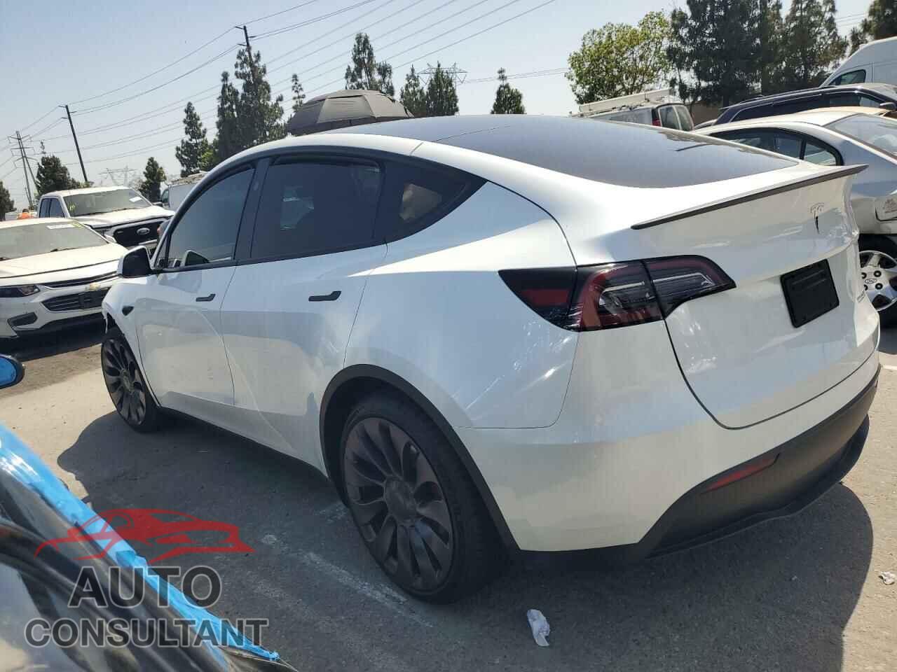 TESLA MODEL Y 2024 - 7SAYGDEF0RF059201