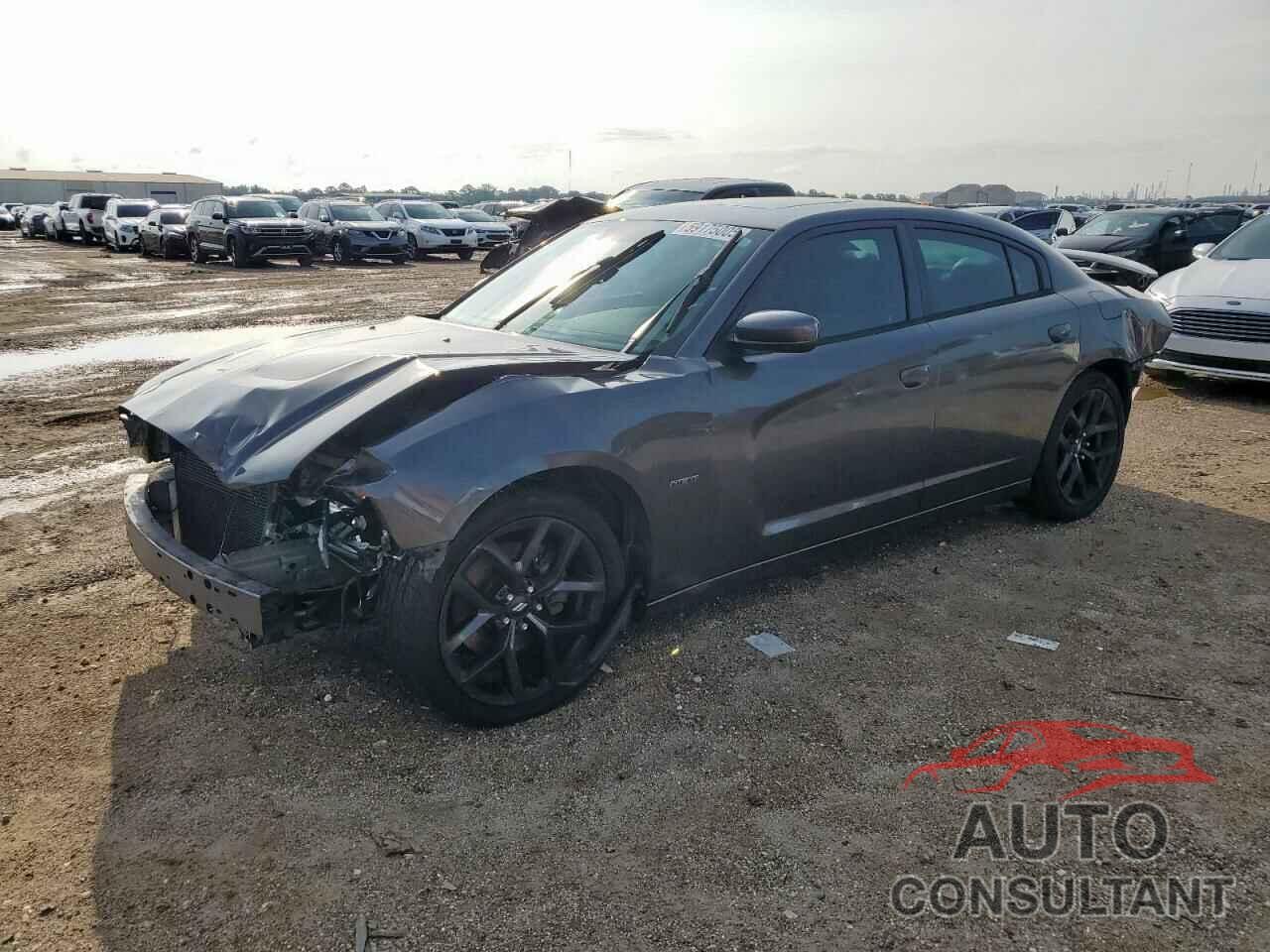 DODGE CHARGER 2013 - 2C3CDXCT2DH584150