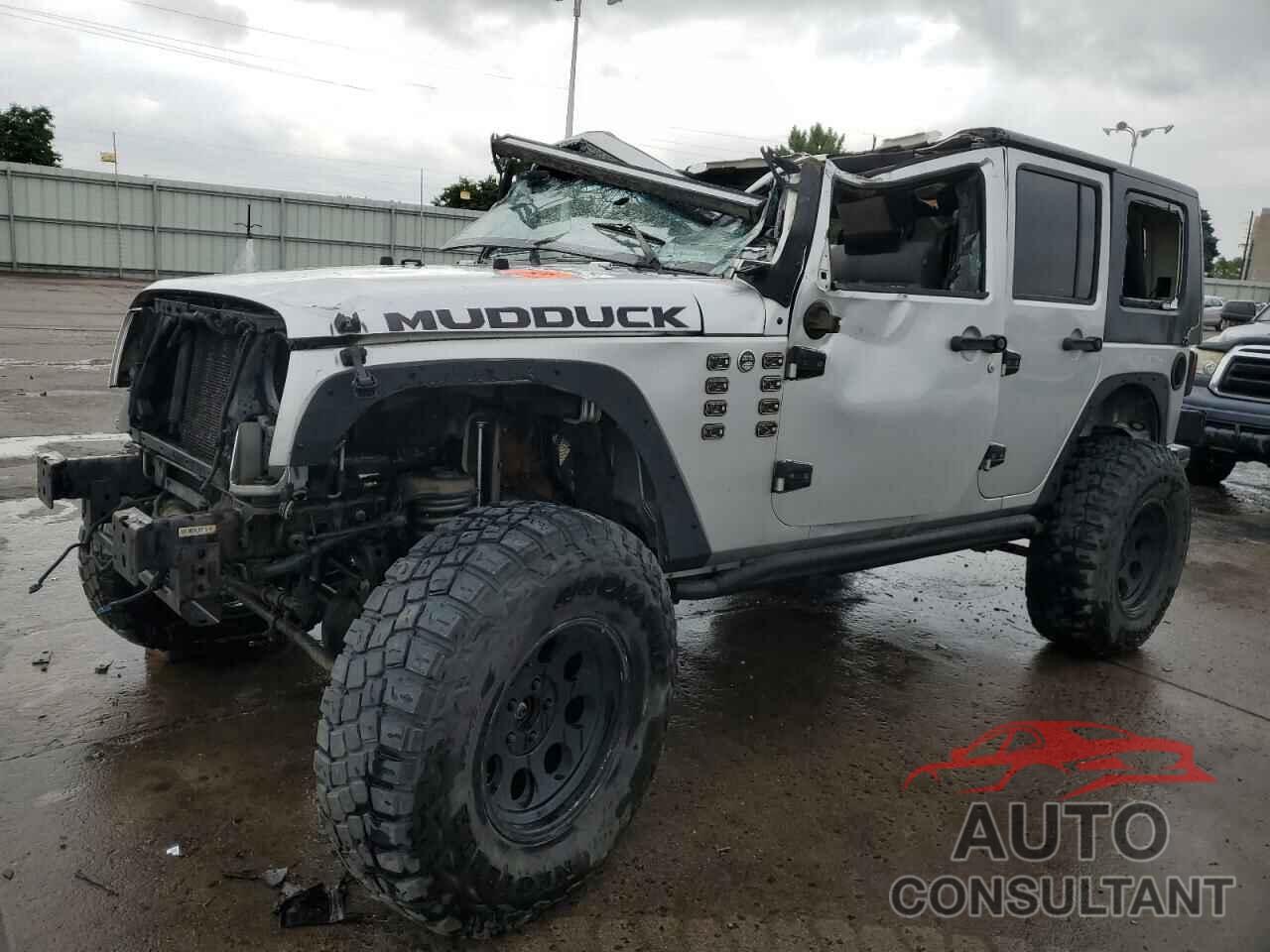 JEEP WRANGLER 2009 - 1J4GA69129L752010