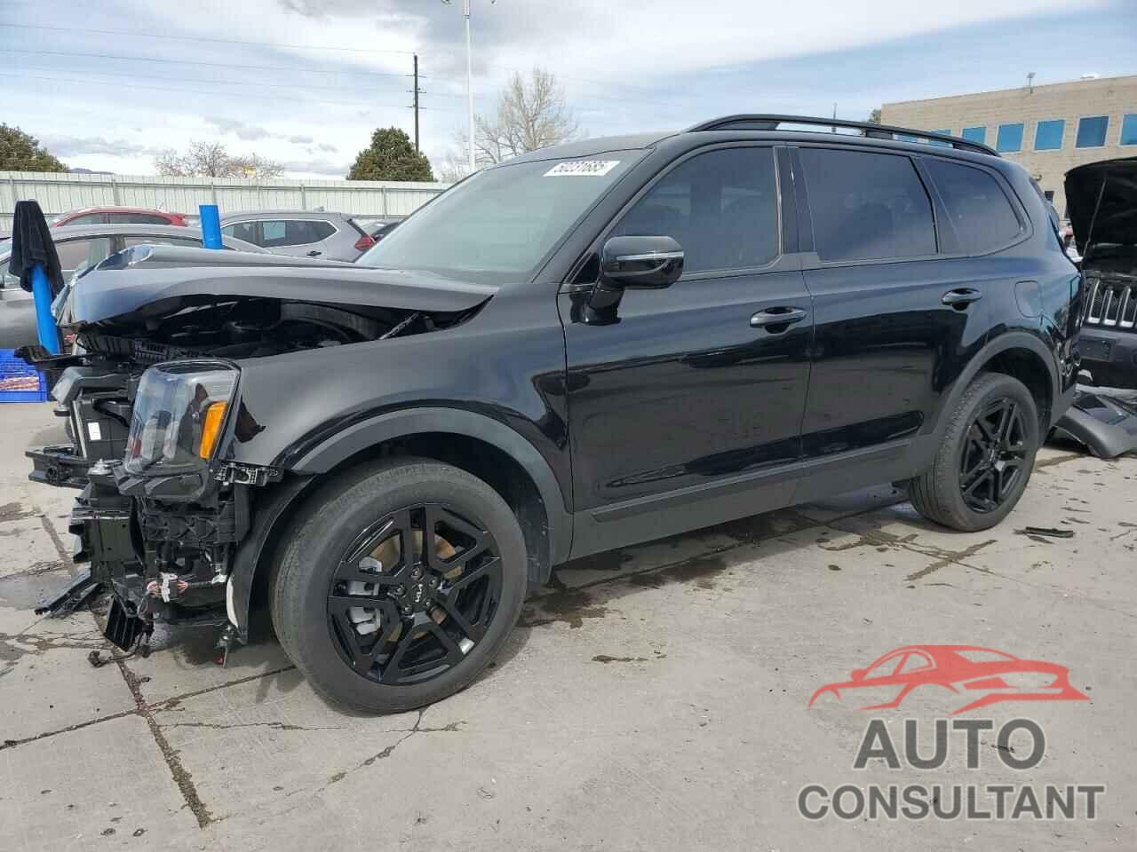 KIA TELLURIDE 2024 - 5XYP5DGC8RG551601