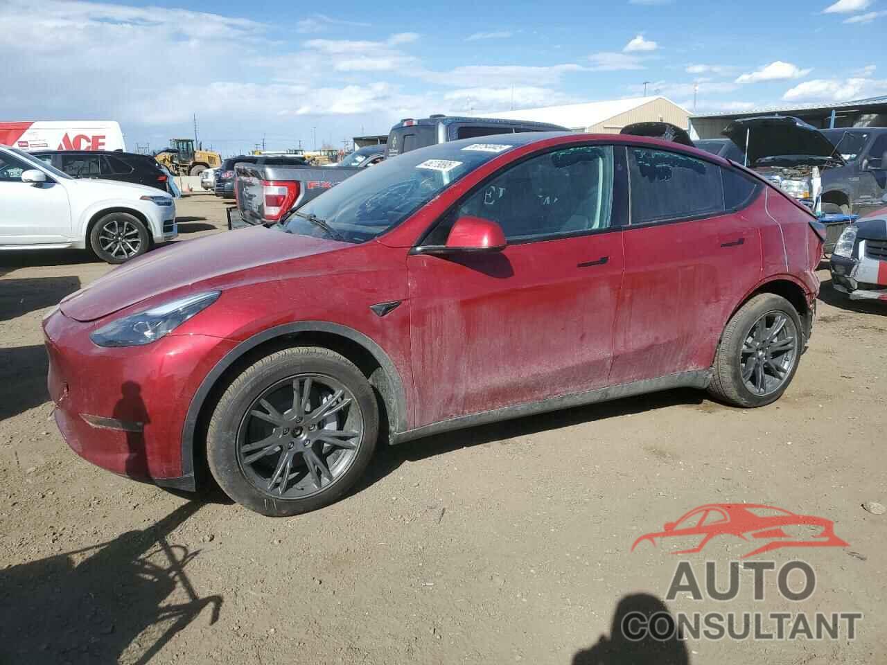 TESLA MODEL Y 2025 - 7SAYGDEE7SF286737