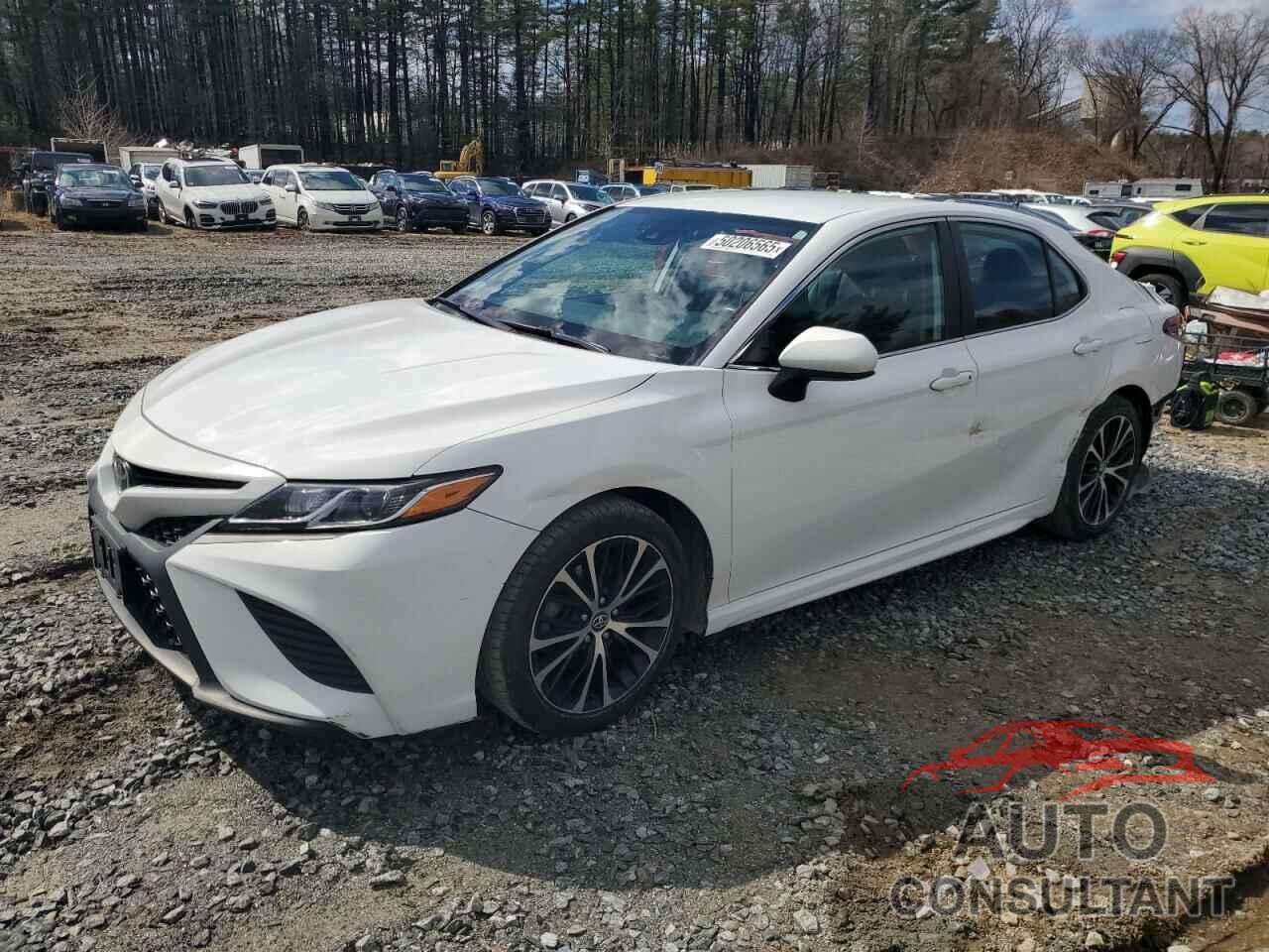TOYOTA CAMRY 2019 - 4T1B11HK4KU244615