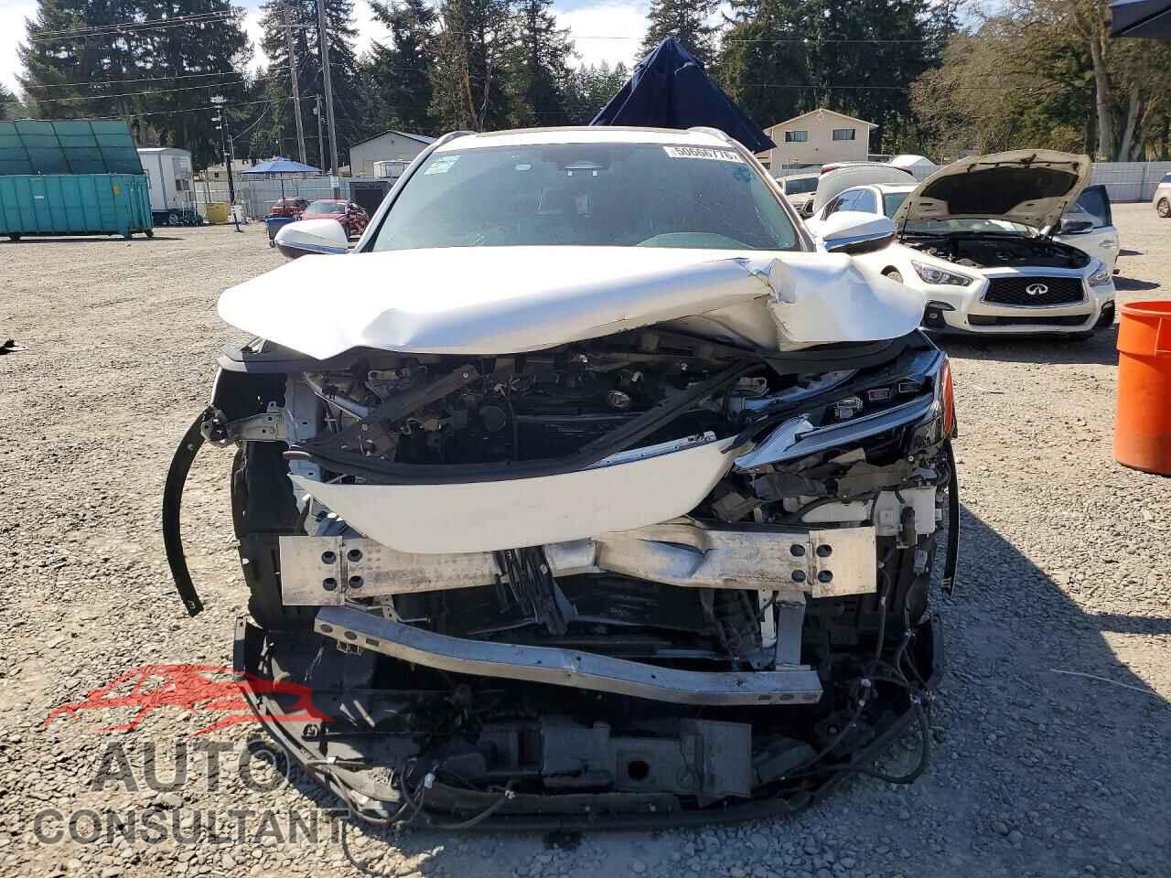 LEXUS RX350 2023 - 2T2BAMCA7PC028035