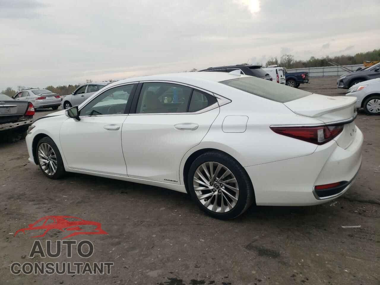 LEXUS ES300 2019 - JTHB21B14K2025634