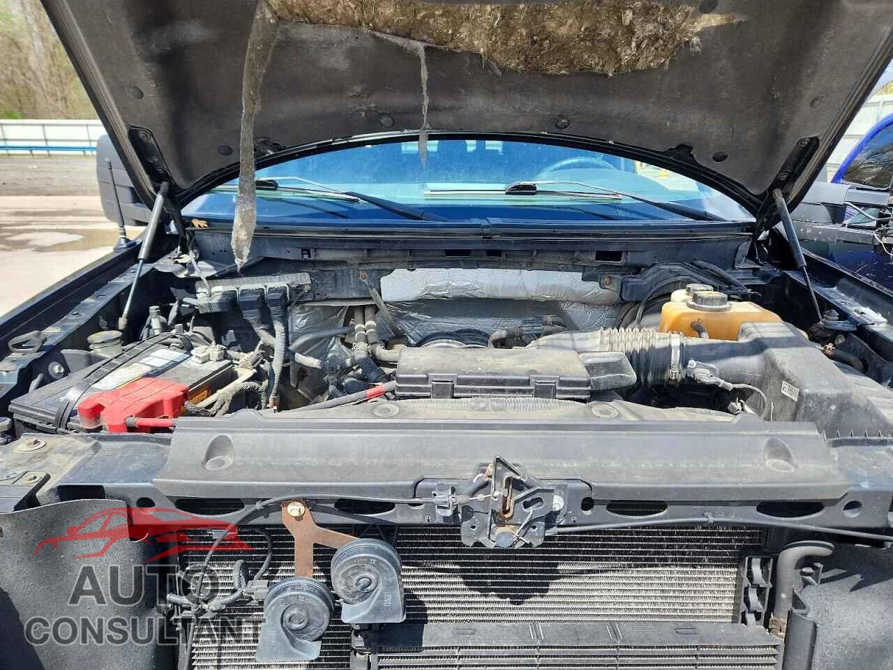 FORD F150 2013 - 1FTFW1EF4DFD50519