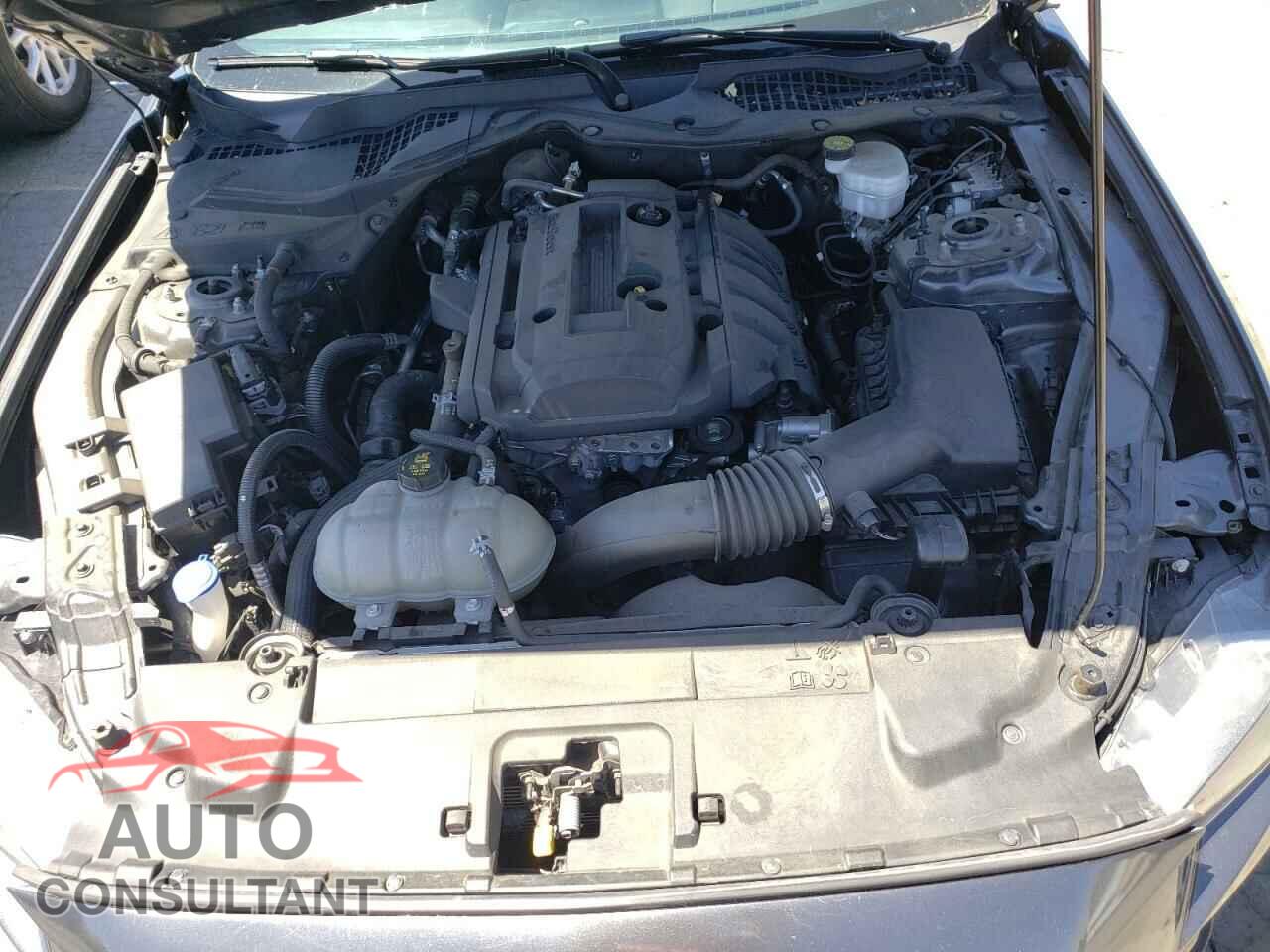 FORD MUSTANG 2020 - 1FA6P8TH1L5136978