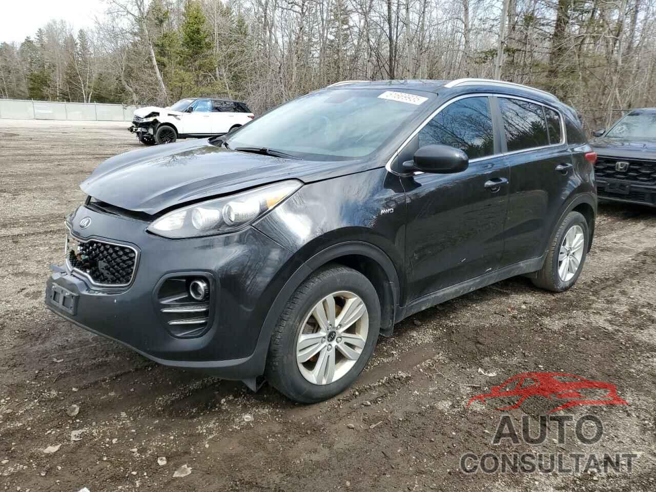 KIA SPORTAGE 2018 - KNDPMCACXJ7386545