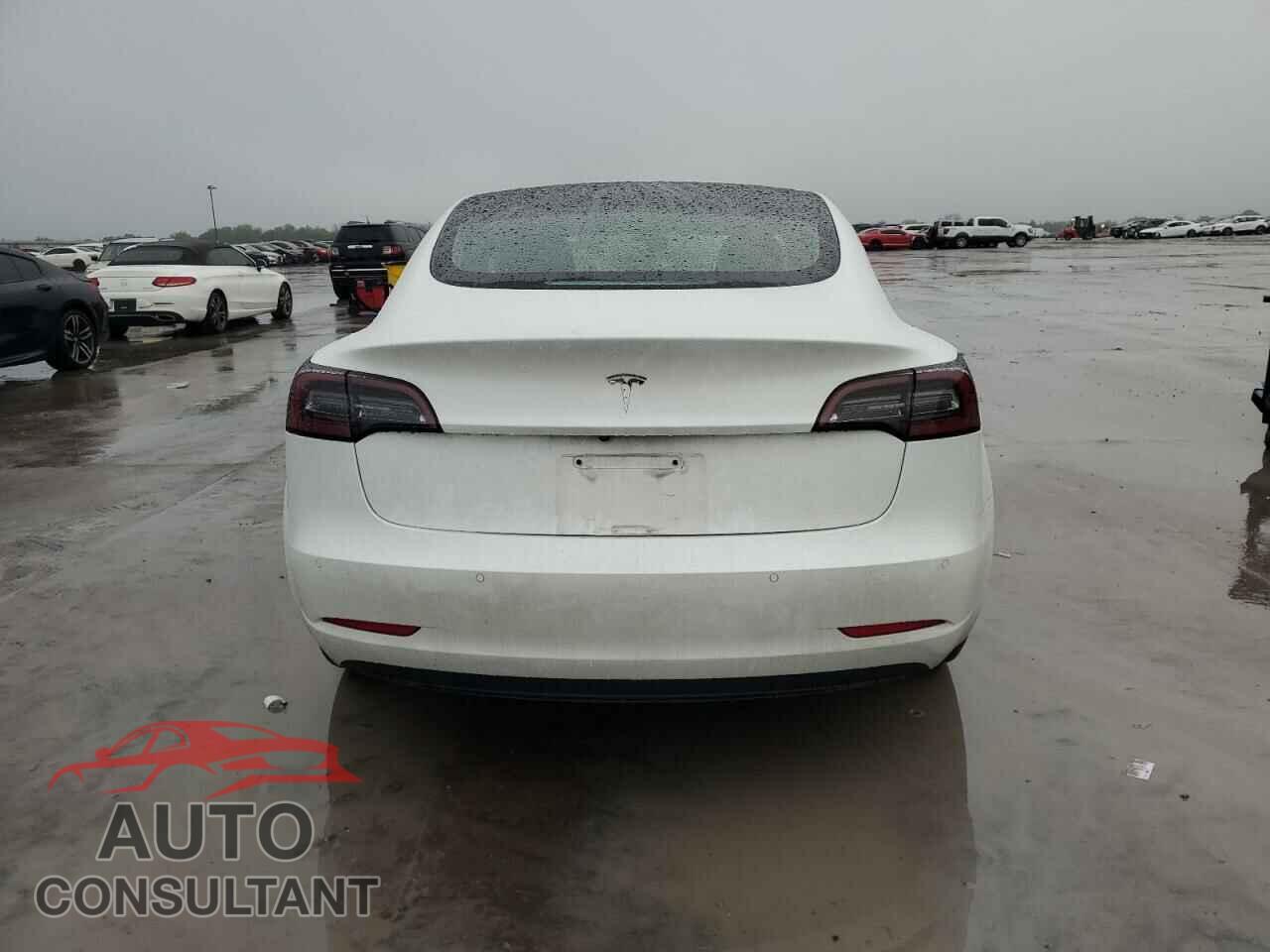 TESLA MODEL 3 2019 - 5YJ3E1EA6KF504059